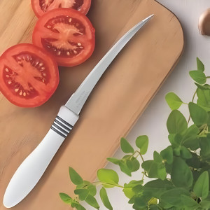 2 Piece Stainless Steel Fruit Knife Set
